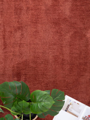 Χαλί Feel 71351 013 Royal Carpet - 200 x 290 cm - Image 3