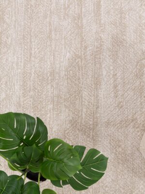 Μοντέρνο Χαλί Solid 1391 CREAM Royal Carpet - 133 x 190 cm - Image 3