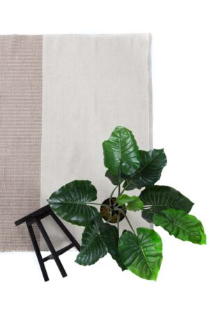 Χαλί Urban Cotton Kilim Arissa Taupe Royal Carpet - 160 x 230 cm - Image 3
