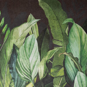 HOHENBERGER TROPICAL 18002-HTM – Ταπετσαρίες τοίχου