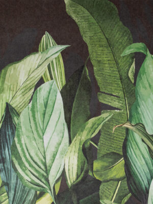 HOHENBERGER TROPICAL 18002-HTM – Ταπετσαρίες τοίχου
