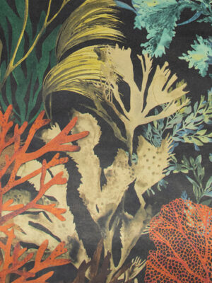 HOHENBERGER TROPICAL 26737-HTM – Ταπετσαρίες τοίχου