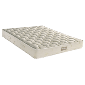 EN55 Aloevera Foam 250