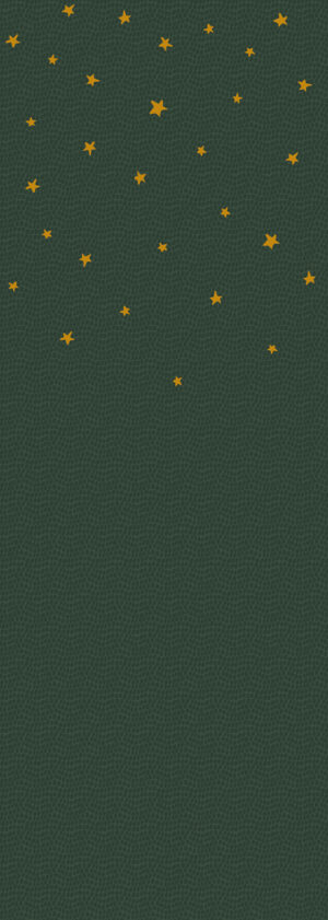 SPITS WALLCOVERINGS SAM & LUCA  INK8094-SPI Ταπετσαρίες Τοίχου