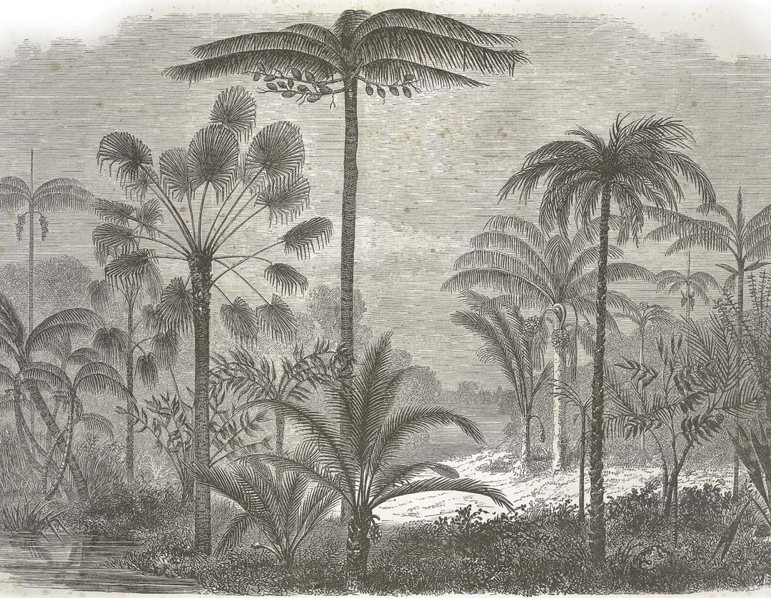 DUTCH WALL DECOR NATURAL HISTORY NH250002-DWD Ταπετσαρίες τοίχου