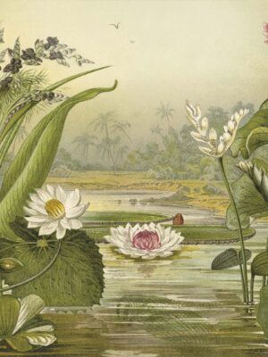 DUTCH WALL DECOR NATURAL HISTORY NH250004-DWD Ταπετσαρίες τοίχου