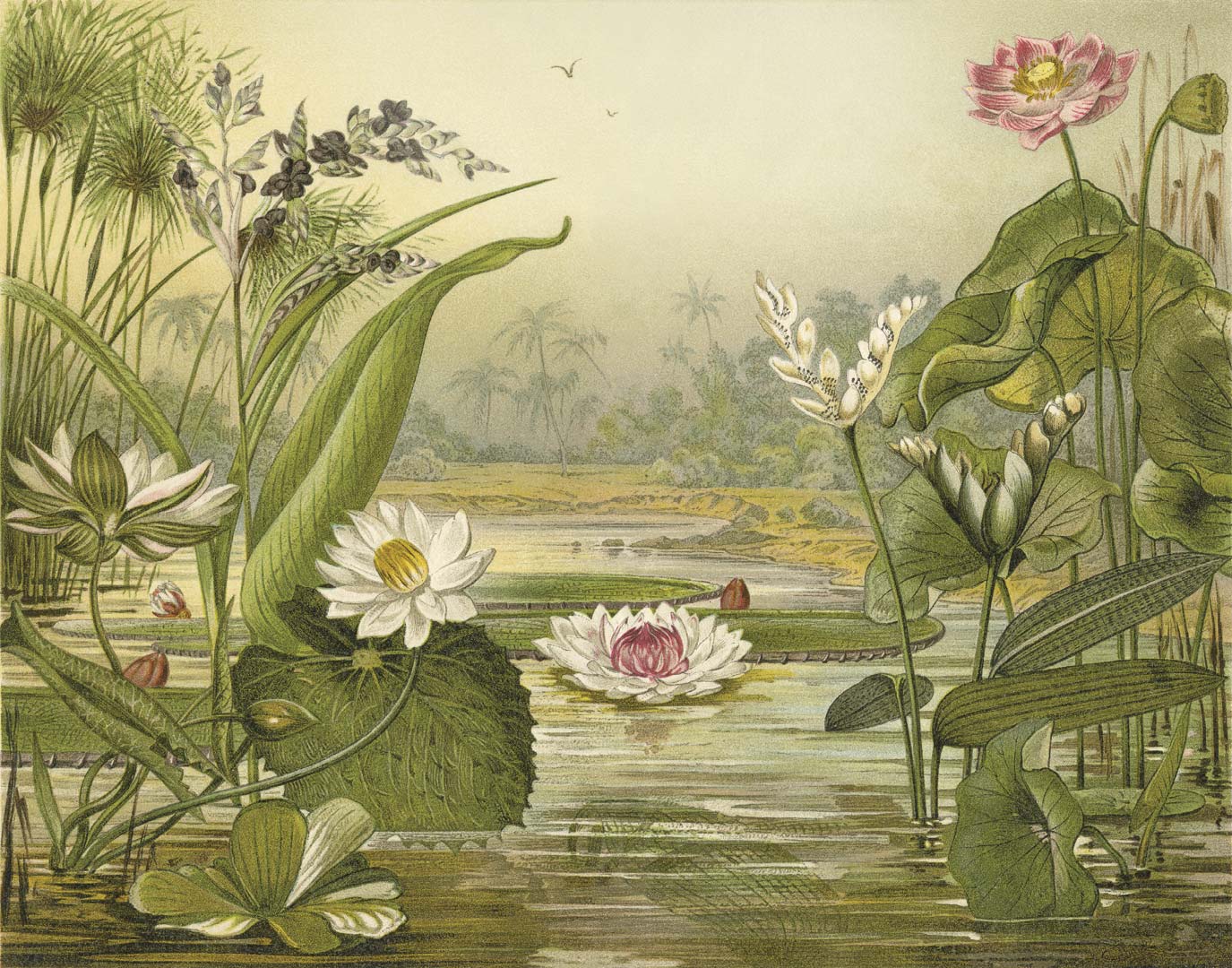 DUTCH WALL DECOR NATURAL HISTORY NH250004-DWD Ταπετσαρίες τοίχου