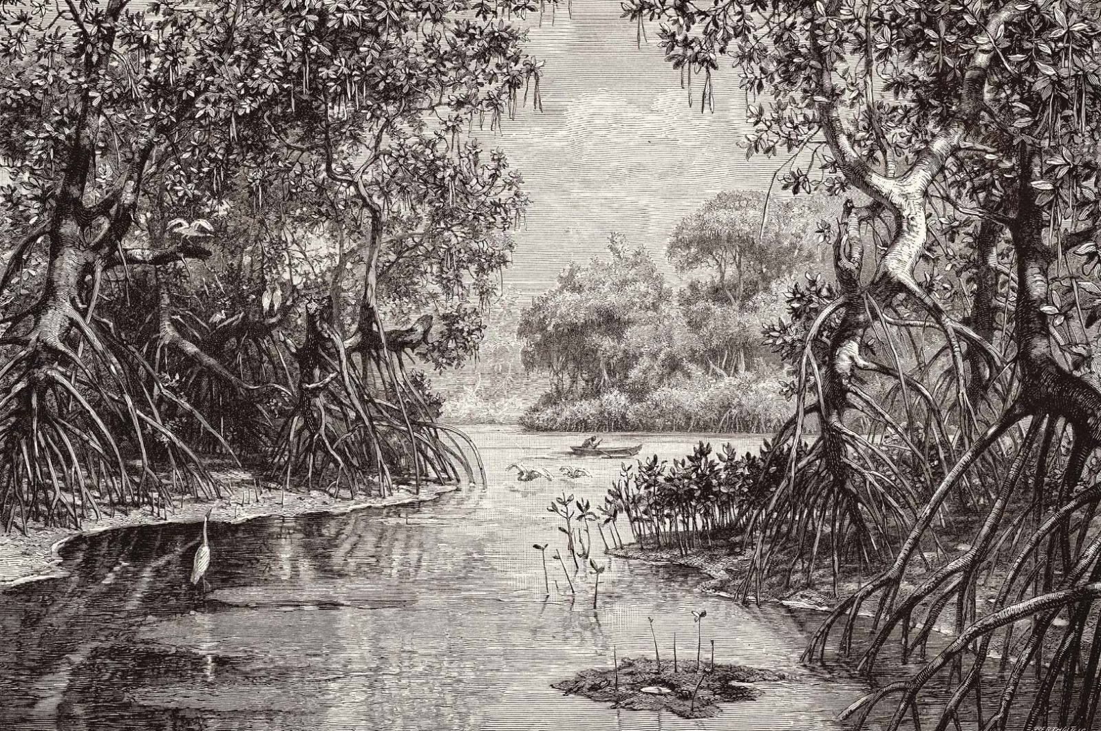 DUTCH WALL DECOR NATURAL HISTORY NH250005-DWD Ταπετσαρίες τοίχου