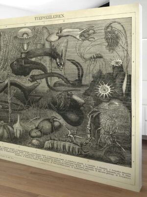 Alternative view of DUTCH WALL DECOR NATURAL HISTORY NH250006-DWD Ταπετσαρίες τοίχου