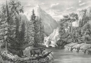 DUTCH WALL DECOR NATURAL HISTORY NH250008-DWD Ταπετσαρίες τοίχου