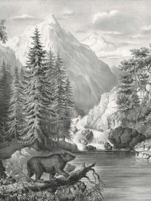 DUTCH WALL DECOR NATURAL HISTORY NH250008-DWD Ταπετσαρίες τοίχου