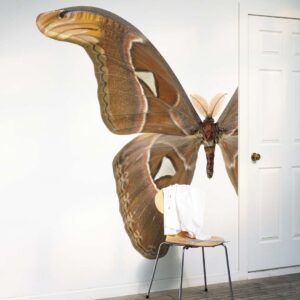 DUTCH WALL DECOR NATURAL HISTORY NH250009-DWD Ταπετσαρίες τοίχου - Image 3