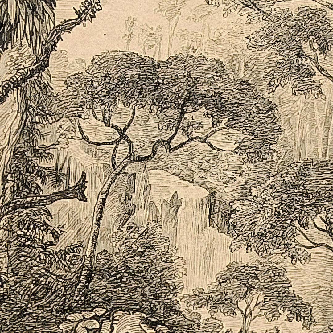 DUTCH WALL DECOR NATURAL HISTORY NH250010-DWD Ταπετσαρίες τοίχου - Image 4
