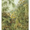 DUTCH WALL DECOR NATURAL HISTORY NH250018-DWD Ταπετσαρίες τοίχου