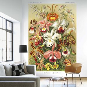 Alternative view of DUTCH WALL DECOR NATURAL HISTORY NH250019-DWD Ταπετσαρίες τοίχου
