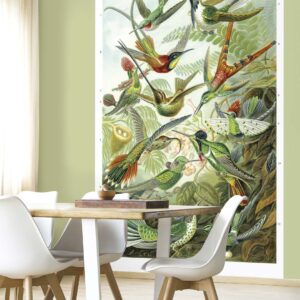 Alternative view of DUTCH WALL DECOR NATURAL HISTORY NH250024-DWD Ταπετσαρίες τοίχου