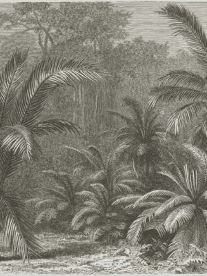 DUTCH WALL DECOR NATURAL HISTORY NH250029-DWD Ταπετσαρίες τοίχου