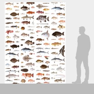 DUTCH WALL DECOR NATURAL HISTORY NH250031-DWD Ταπετσαρίες τοίχου