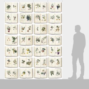 DUTCH WALL DECOR NATURAL HISTORY NH250034-DWD Ταπετσαρίες τοίχου