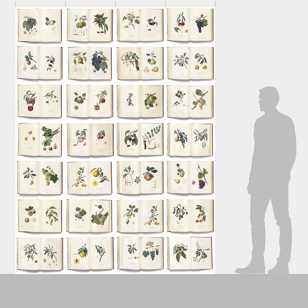 DUTCH WALL DECOR NATURAL HISTORY NH250034-DWD Ταπετσαρίες τοίχου