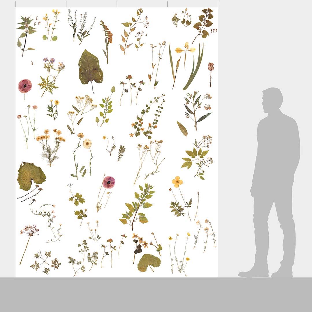 DUTCH WALL DECOR NATURAL HISTORY NH250035-DWD Ταπετσαρίες τοίχου