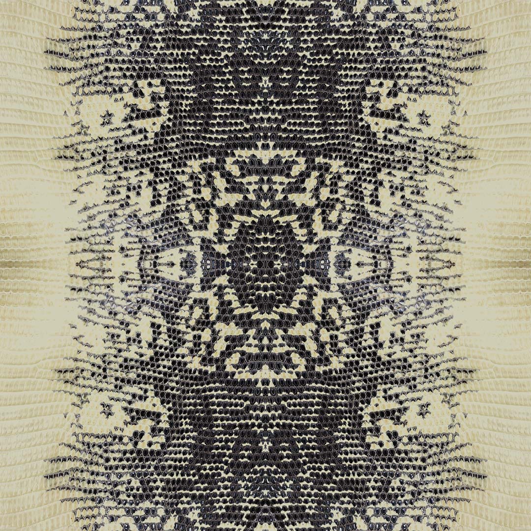 DUTCH WALL DECOR NATURAL HISTORY NH250040-DWD Ταπετσαρίες τοίχου