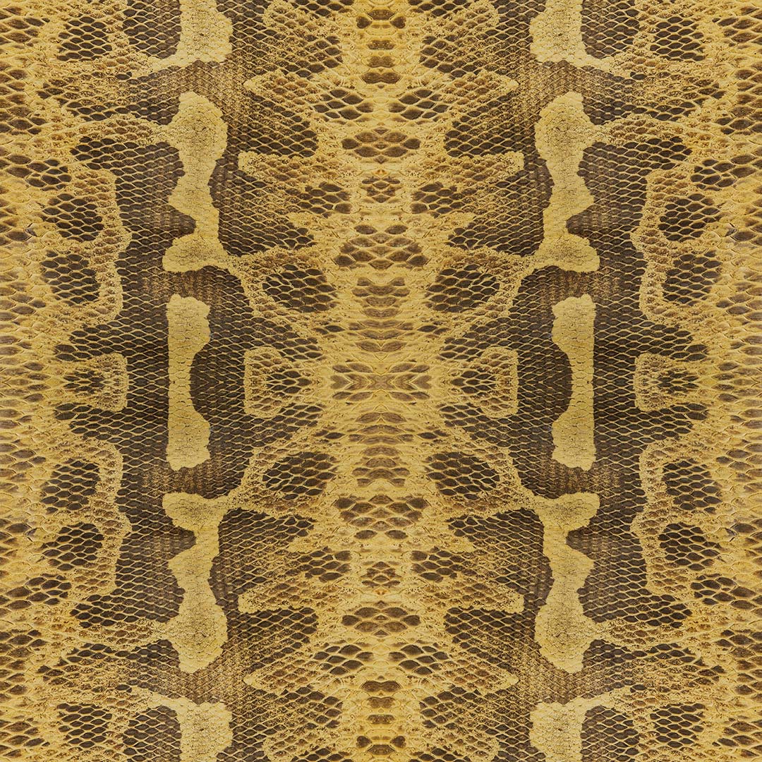 DUTCH WALL DECOR NATURAL HISTORY NH250042-DWD Ταπετσαρίες τοίχου