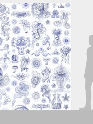 DUTCH WALL DECOR NATURAL HISTORY NH250045-DWD Ταπετσαρίες τοίχου