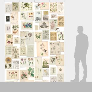 Alternative view of DUTCH WALL DECOR NATURAL HISTORY NH250054-DWD Ταπετσαρίες τοίχου