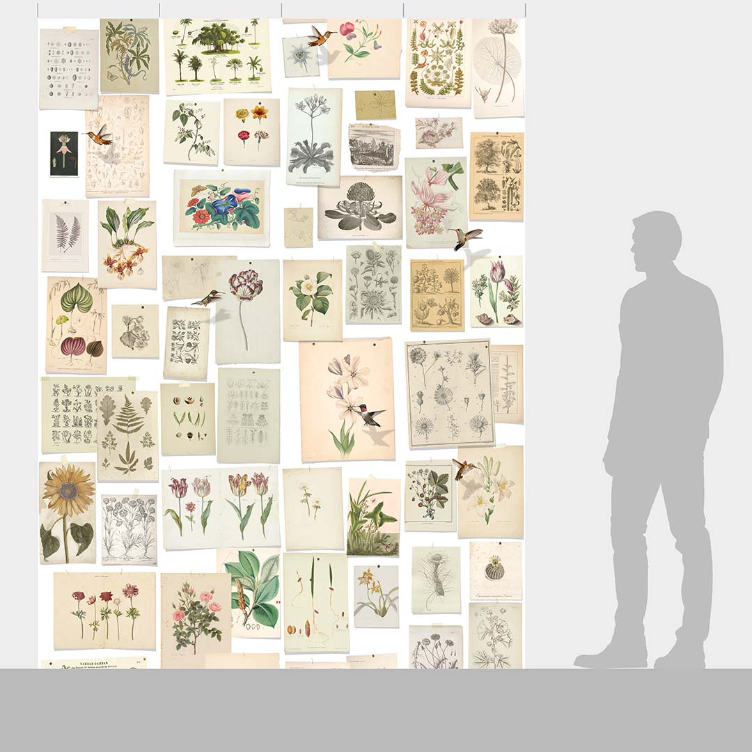 DUTCH WALL DECOR NATURAL HISTORY NH250054-DWD Ταπετσαρίες τοίχου - Image 2