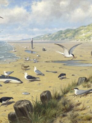 DUTCH WALL DECOR NATURAL HISTORY NH250064-DWD Ταπετσαρίες τοίχου