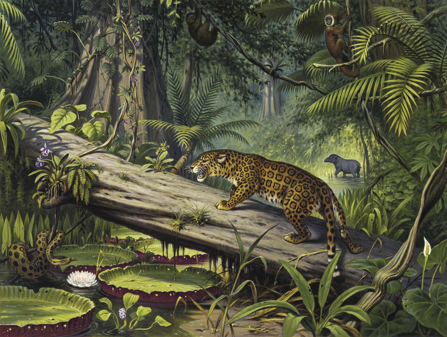 DUTCH WALL DECOR NATURAL HISTORY NH250065-DWD Ταπετσαρίες τοίχου