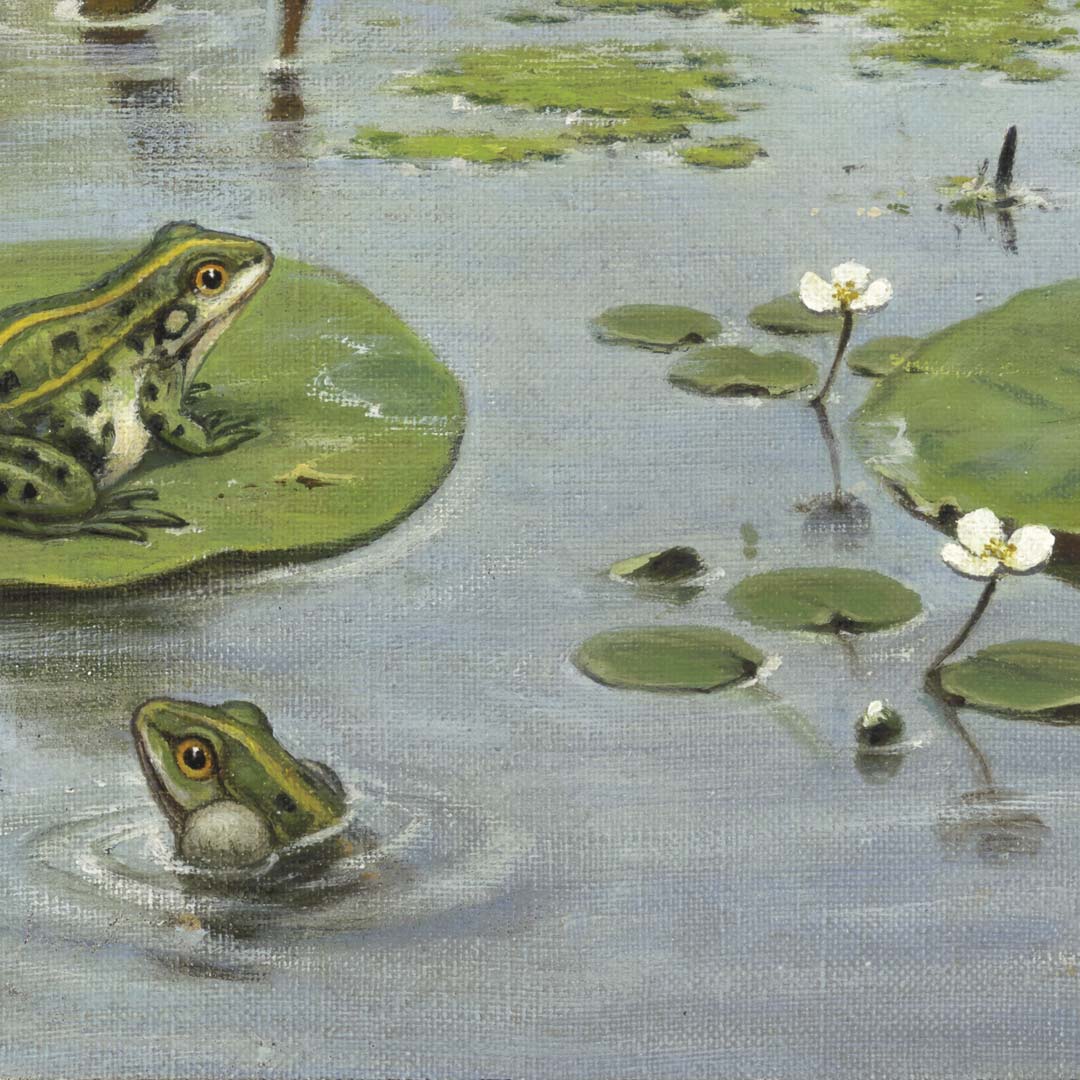 DUTCH WALL DECOR NATURAL HISTORY NH250066-DWD Ταπετσαρίες τοίχου - Image 3