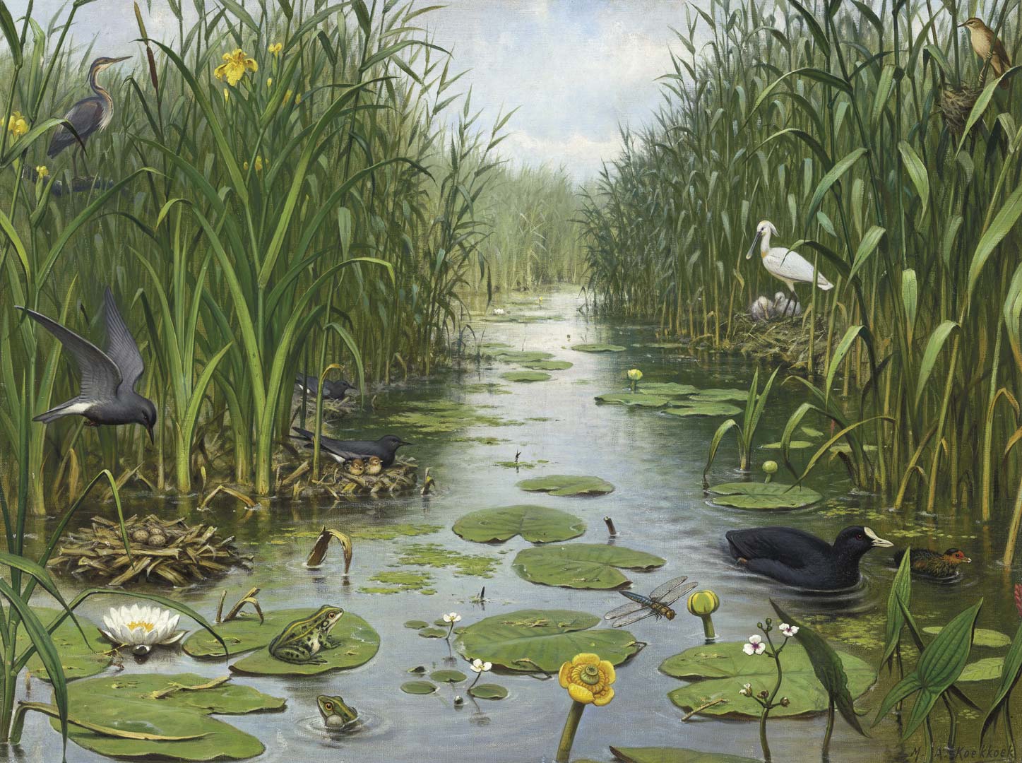 DUTCH WALL DECOR NATURAL HISTORY NH250066-DWD Ταπετσαρίες τοίχου