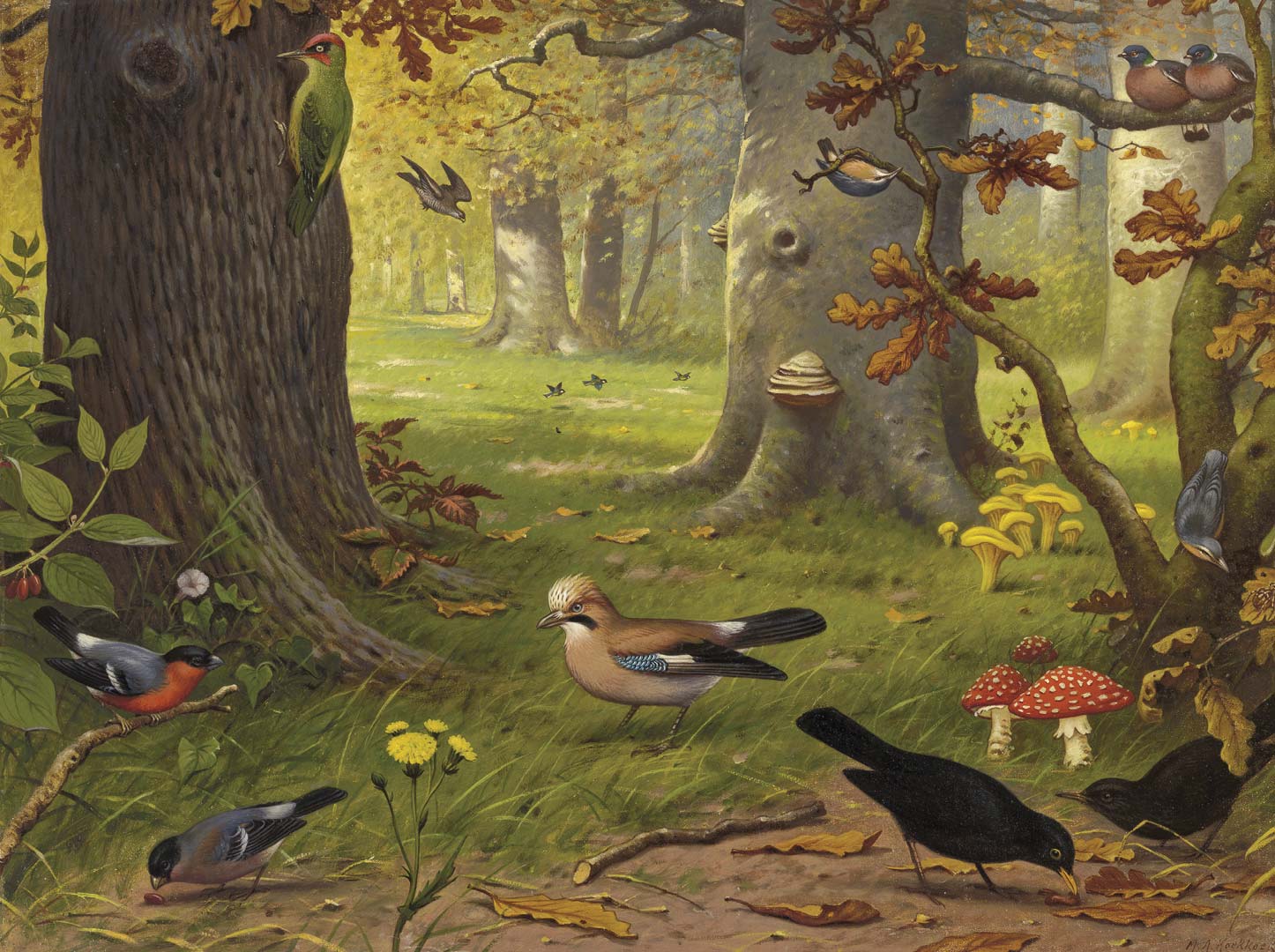 DUTCH WALL DECOR NATURAL HISTORY NH250069-DWD Ταπετσαρίες τοίχου