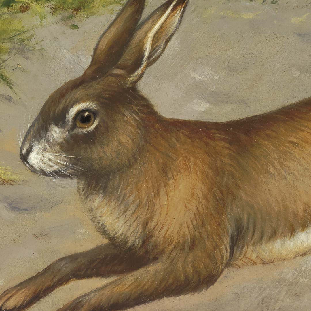 DUTCH WALL DECOR NATURAL HISTORY NH250070-DWD Ταπετσαρίες τοίχου - Image 3