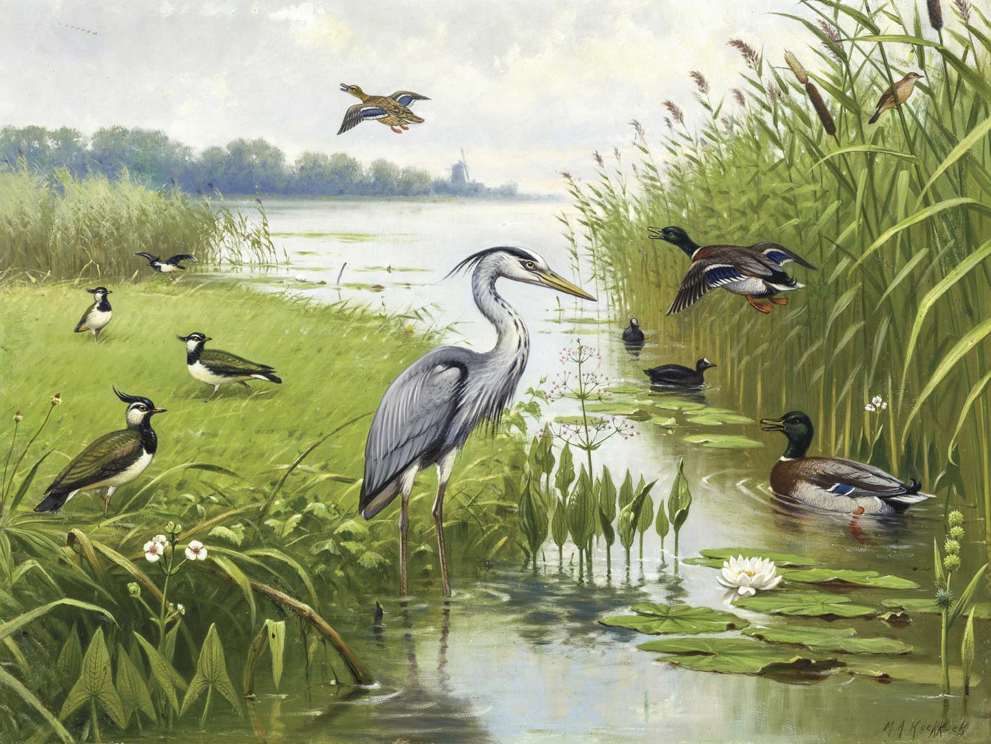 DUTCH WALL DECOR NATURAL HISTORY NH250074-DWD Ταπετσαρίες τοίχου