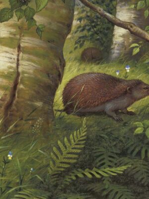 DUTCH WALL DECOR NATURAL HISTORY NH250075-DWD Ταπετσαρίες τοίχου - Image 3